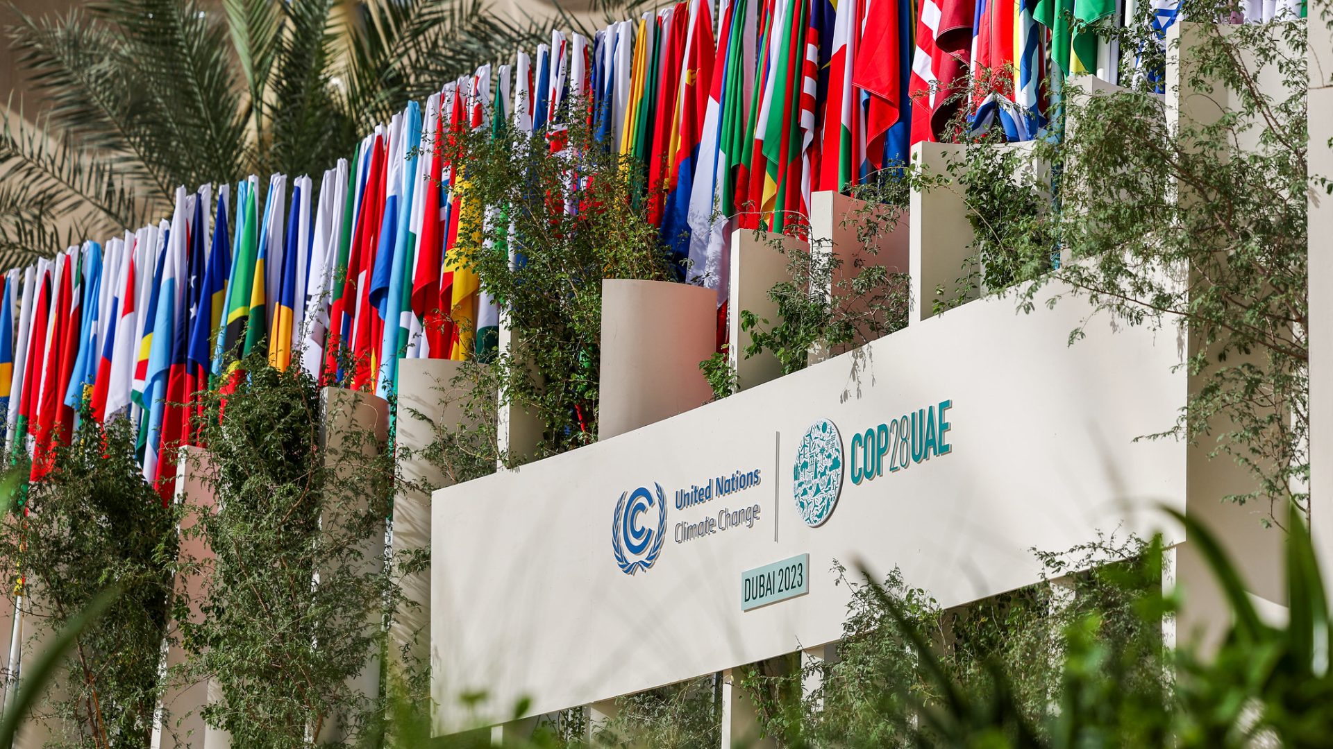 Rinnovabili • Conferenza sul clima Cop28: al via il vertice globale di Dubai