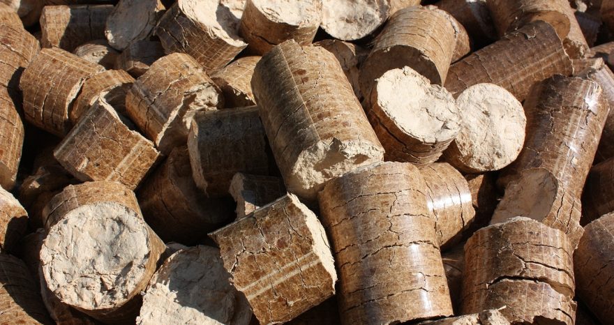 Rinnovabili • Biomassa legnosa