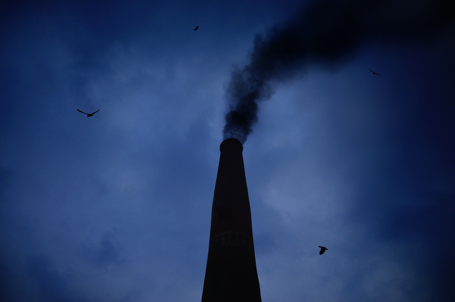 Mercato globale del carbonio: COP28, l’Europa blocca tutto