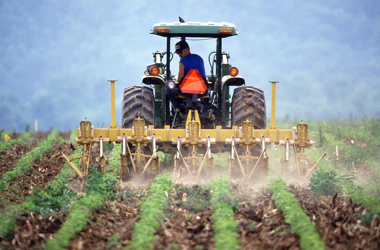 lavoro occasionale in agricoltura