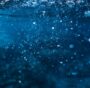 Stoccaggio carbonio oceani: +20% grazie alla “neve marina”