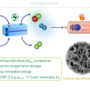 Convertire la CO2: dal DoE le nanofibre di carbonio efficienti e circolari