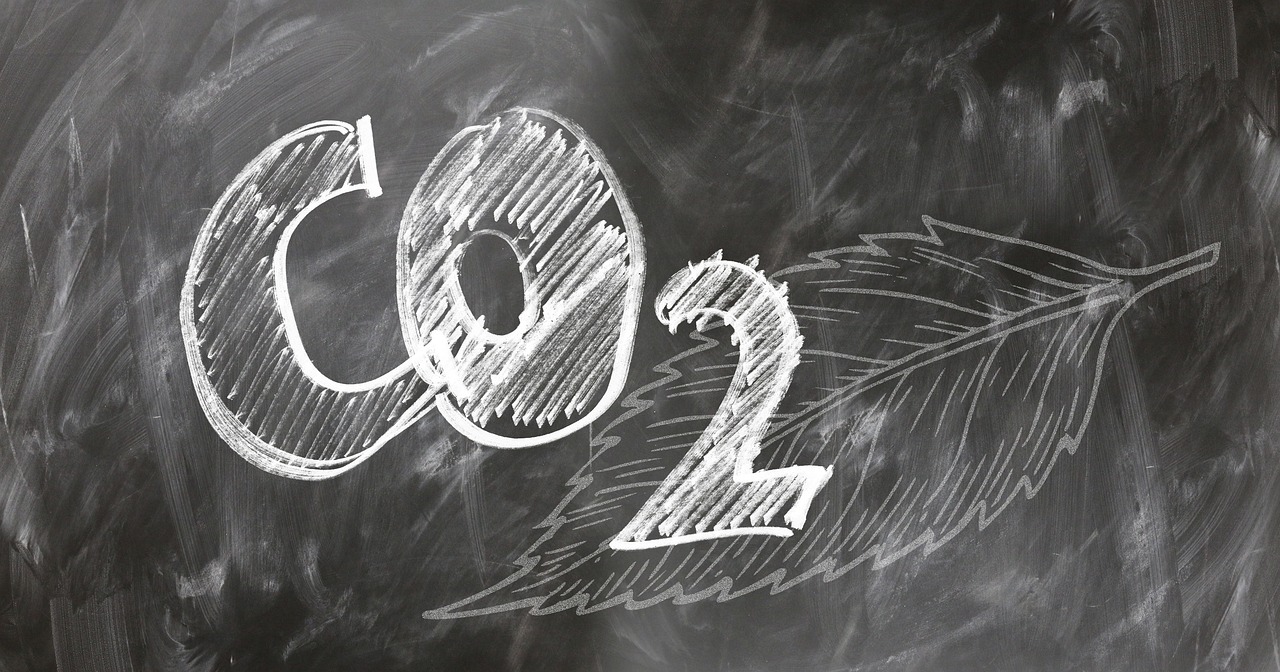 Livelli di CO2 in atmosfera: sarà record nel 2024, e ci farà sforare 1,5 gradi