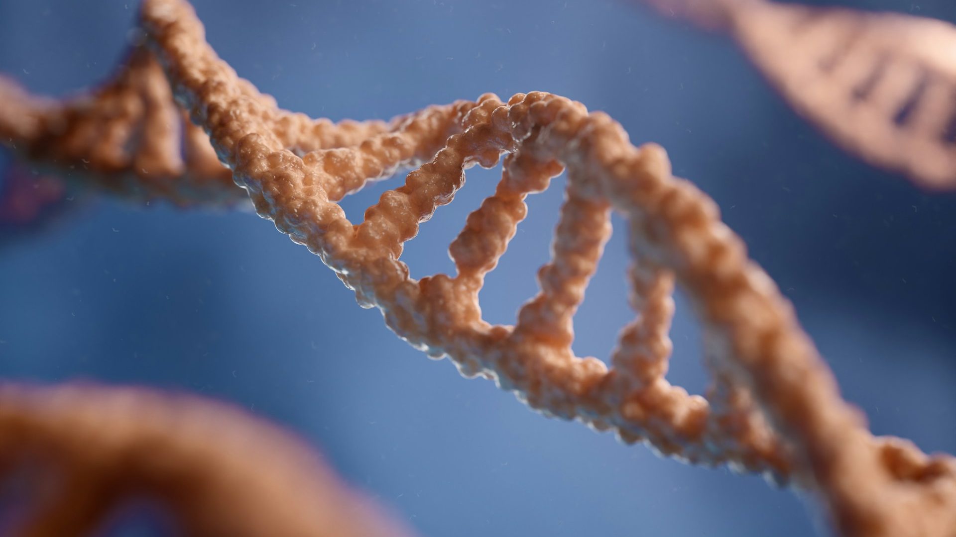 Rinnovabili • Nuove tecniche genomiche: ok del PE agli OGM 2.0