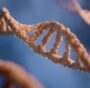 Nuove tecniche genomiche: ok del PE agli OGM 2.0