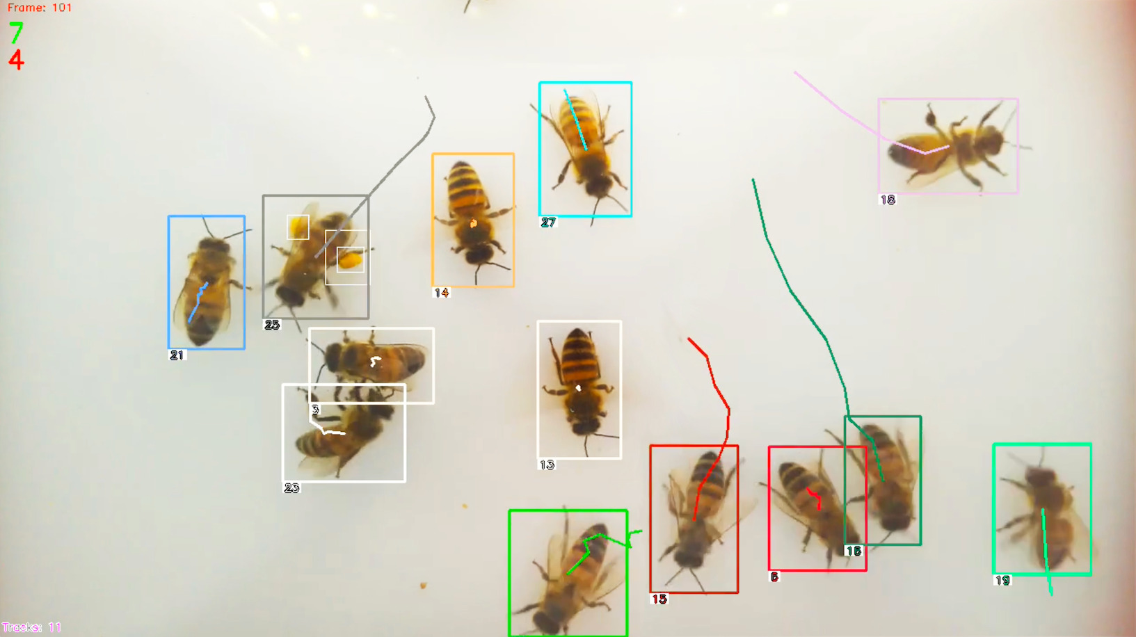 Rinnovabili • intelligenza artificiale api