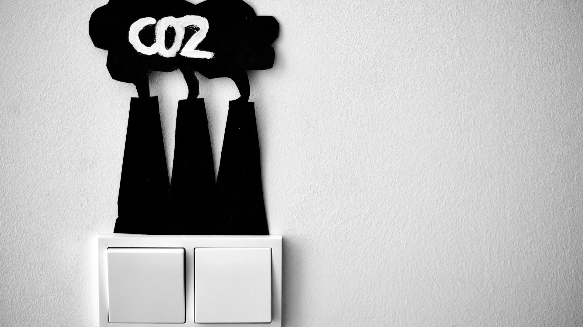 Rinnovabili • Certificazioni rimozione CO2: l’UE adotta il 1° schema al mondo