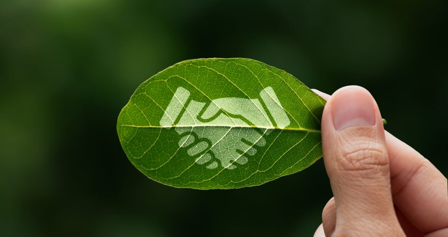 Rinnovabili • Corporate Sustainability Due Diligence Directive