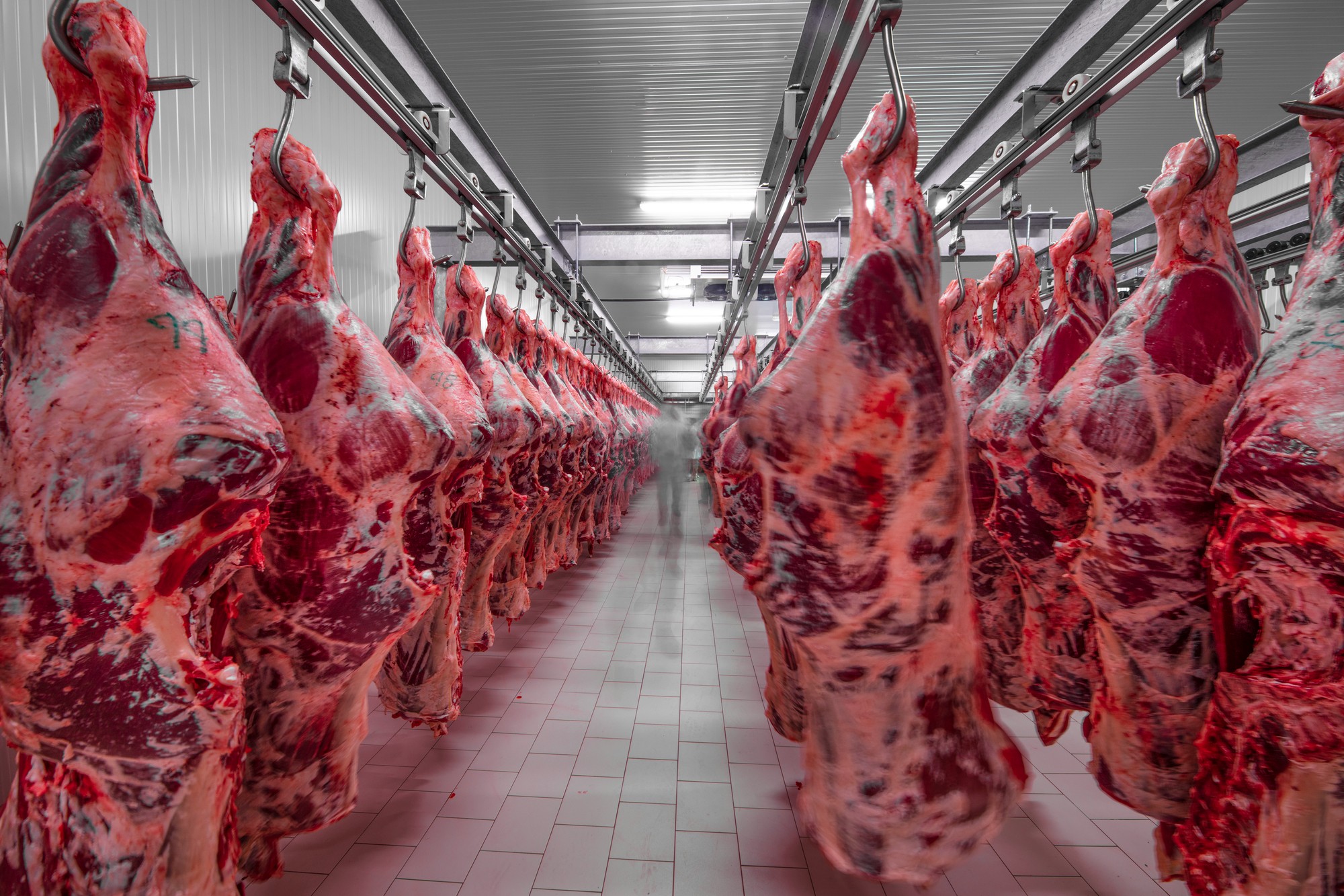 Finanziamenti industria carne: +15% in 4 anni, trend insostenibile
