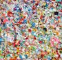 importazioni di plastica riciclata