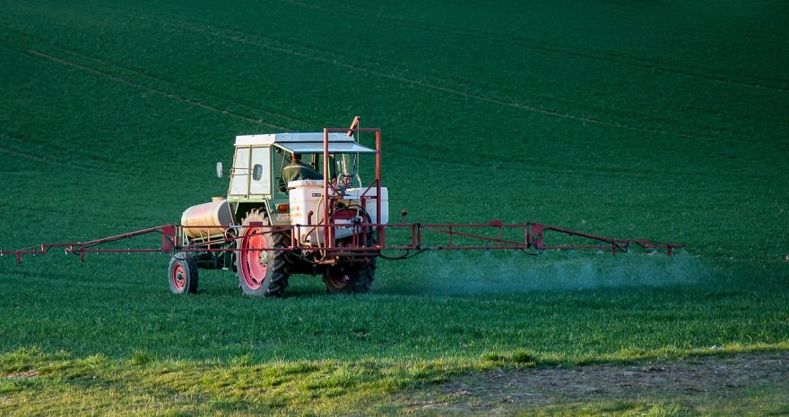 Rinnovabili • residui di pesticidi negli alimenti