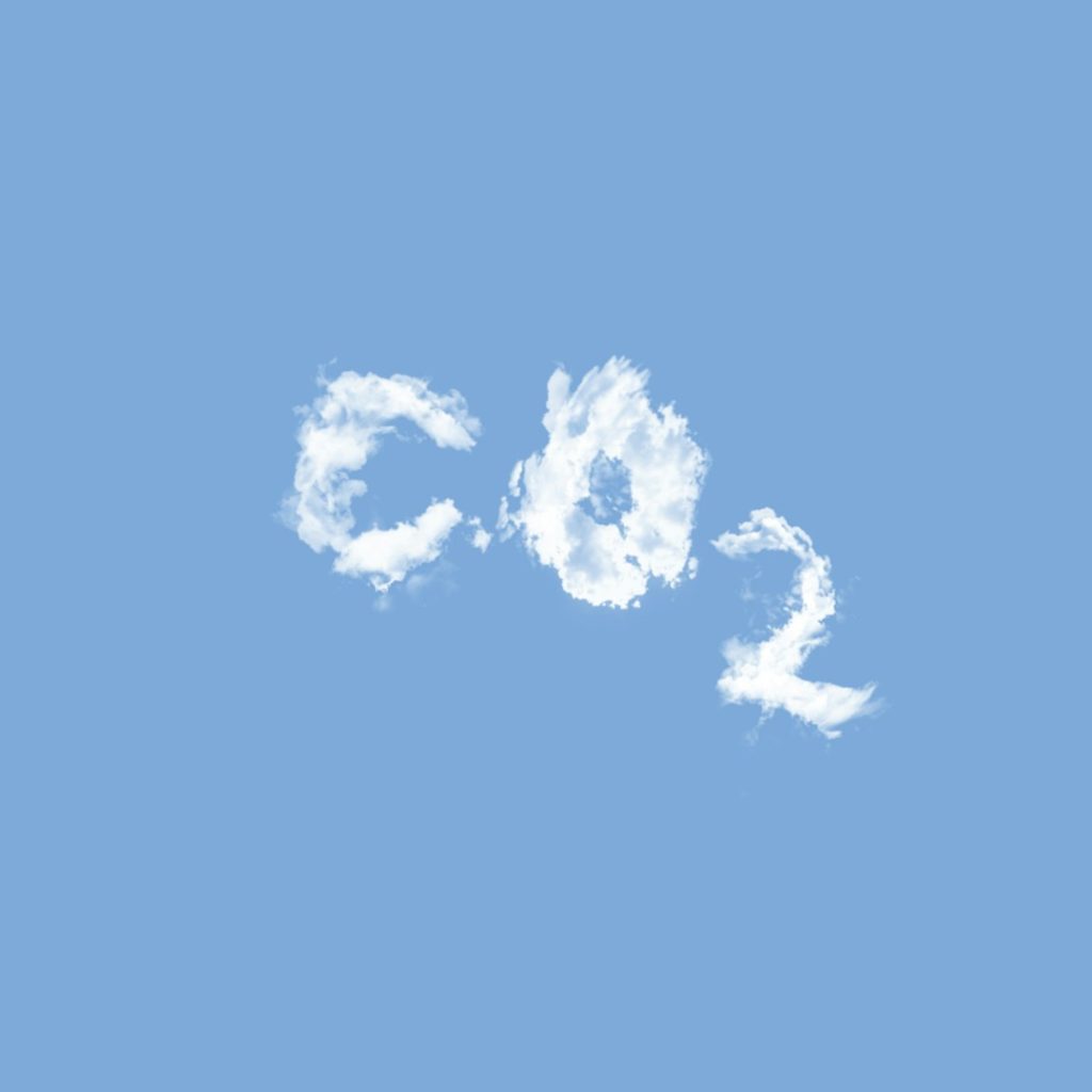 Rimozione CO2: serve una Banca centrale europea del carbonio