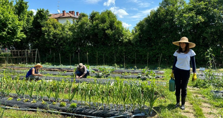 Rinnovabili • Orti Slow Food di comunità