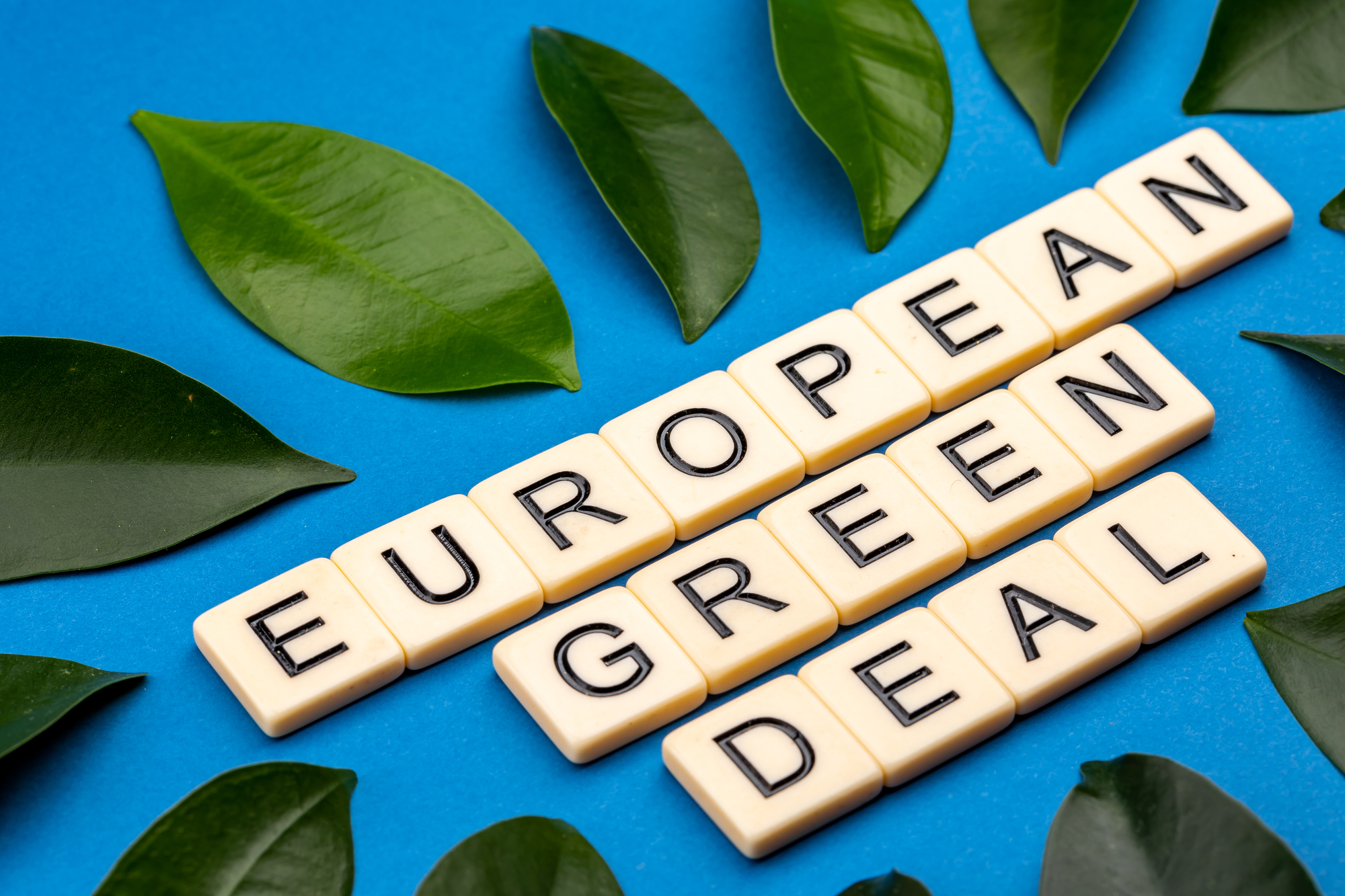 Impatto del Green Deal: vale -1°C di riscaldamento globale