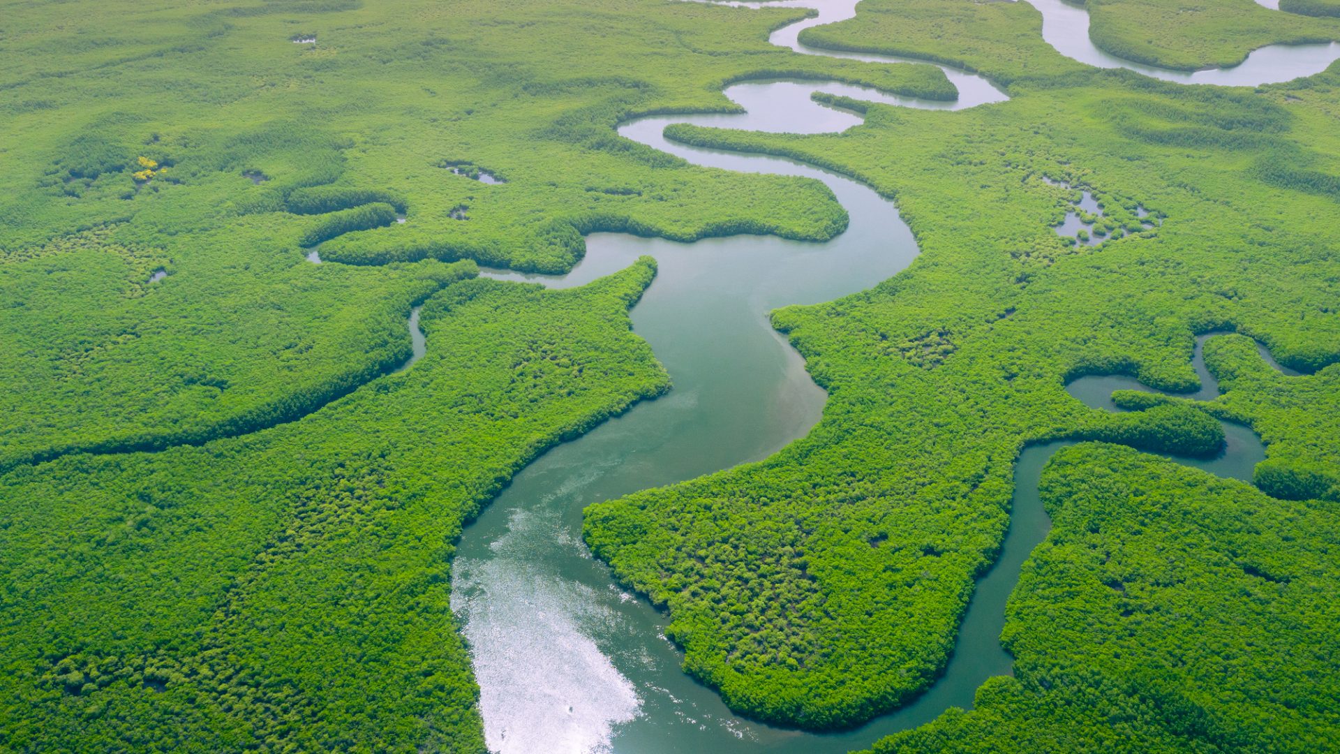 Rinnovabili • Punto di non ritorno: 1/3 dell’Amazzonia è vicina al tipping point