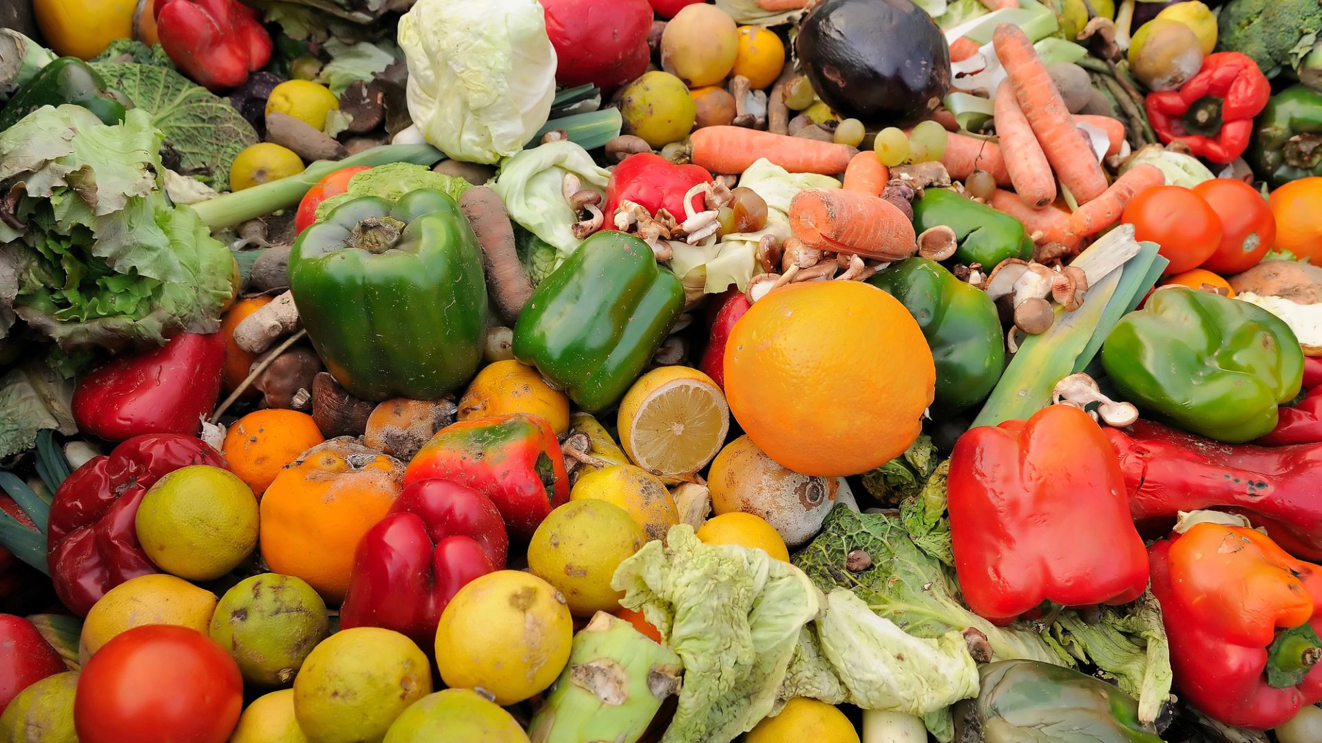 Rinnovabili • ridurre i rifiuti alimentari