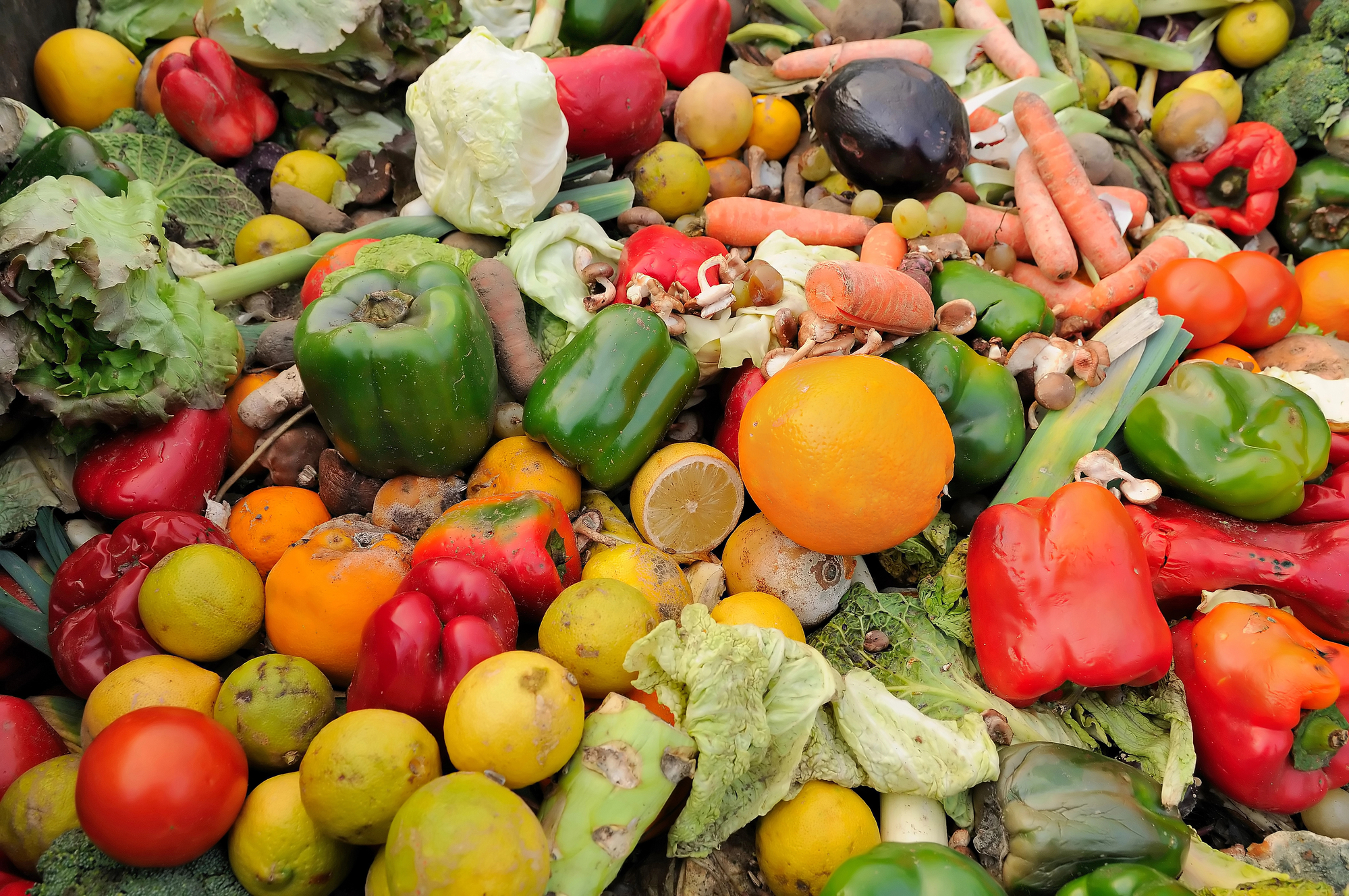 ridurre i rifiuti alimentari