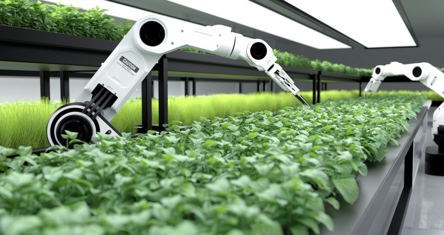 Rinnovabili • Robotica agricola