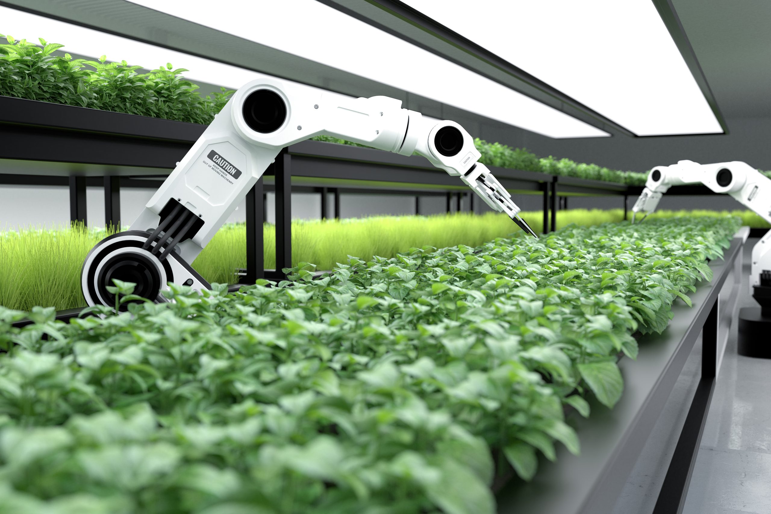 robotica agricola