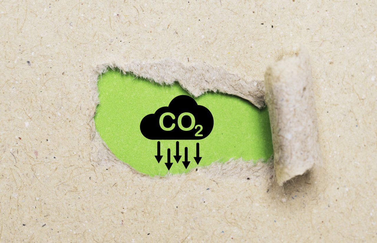 Tecnologie rimozione CO2: rischiamo un gap da 3,2 GtCO2
