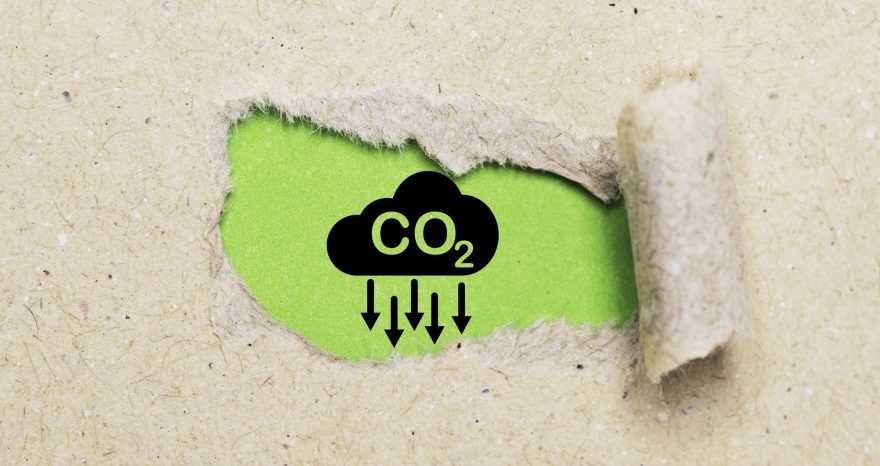 Rinnovabili • Tecnologie rimozione CO2: rischiamo un gap da 3,2 GtCO2