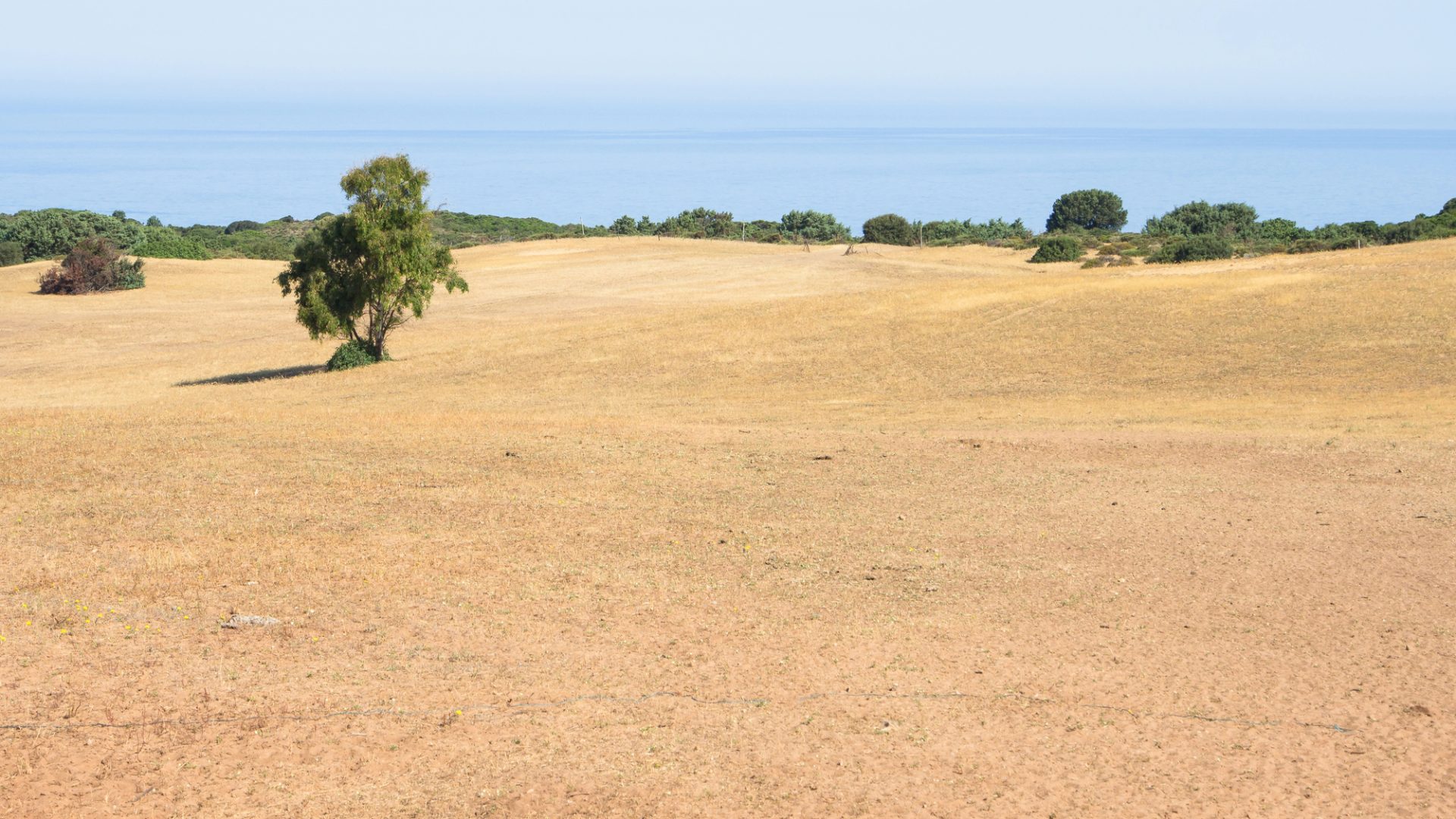 Rinnovabili • Giornata mondiale contro desertificazione siccità 2024: 18% dell’Italia a rischio
