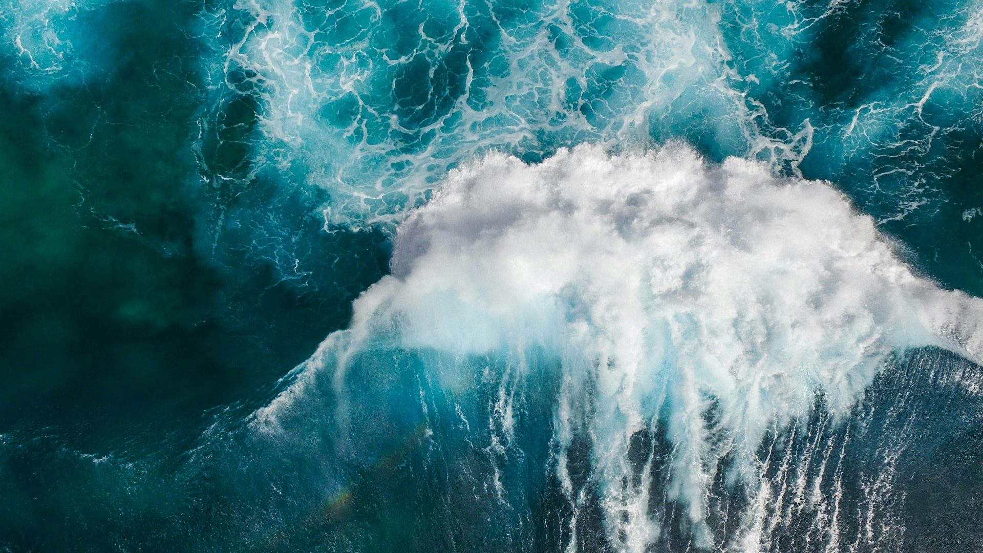 Rinnovabili • Energia dalle onde oceaniche