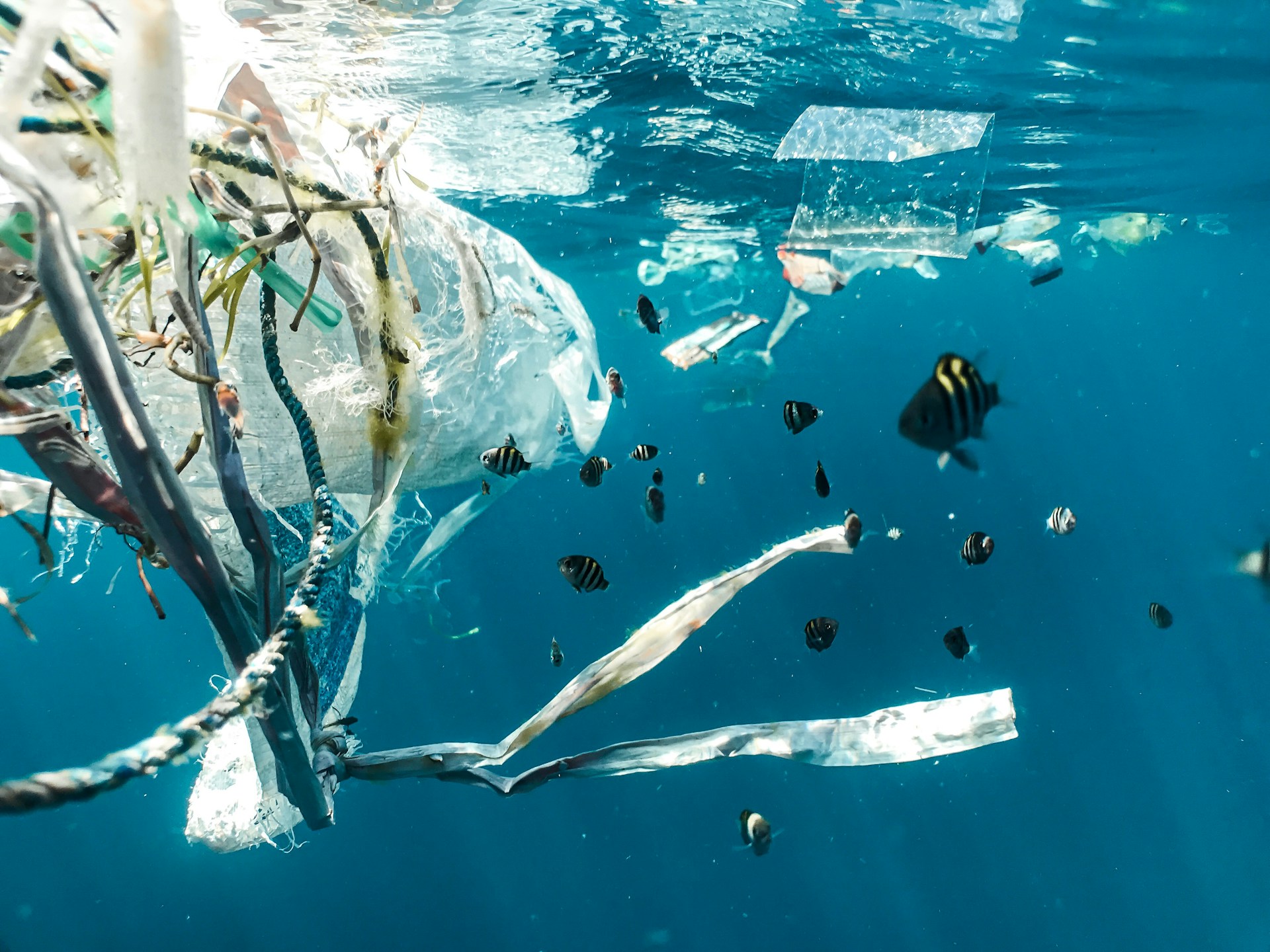 riduzione della plastica negli oceani