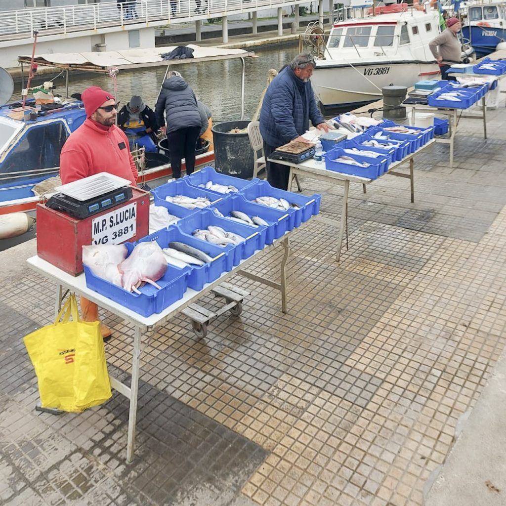 I pescatori di Viareggio hanno aderito al progetto "Bluefishers"