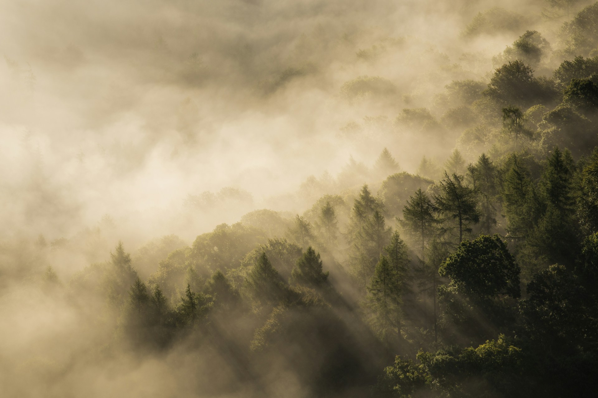 Catturare CO2 dall’aria usando solo l’umidità