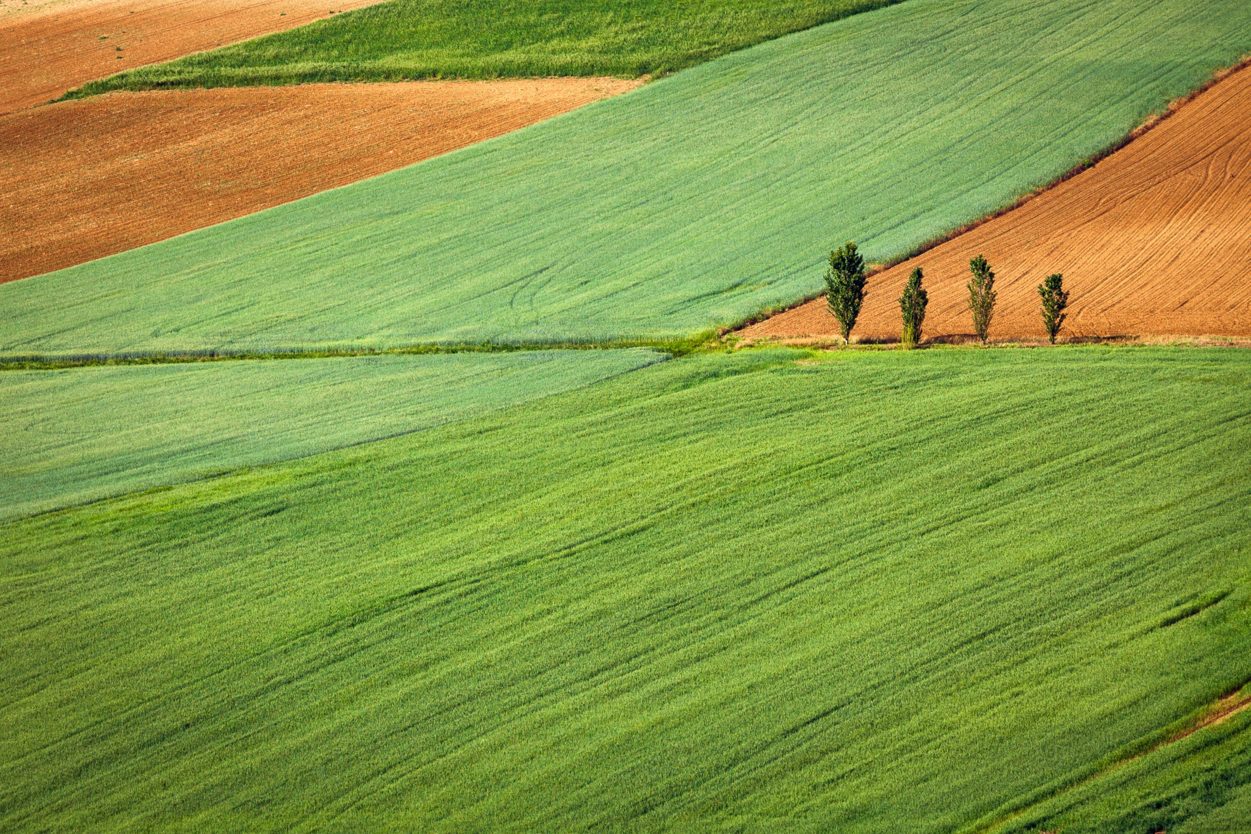 Agri Sustainability Compass, la bussola interattiva per orientarsi nella sostenibilità in agricoltura