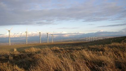 Rinnovabili • Produzione elettrica europea 2024: fv ed eolico hanno sbaragliato le fossili