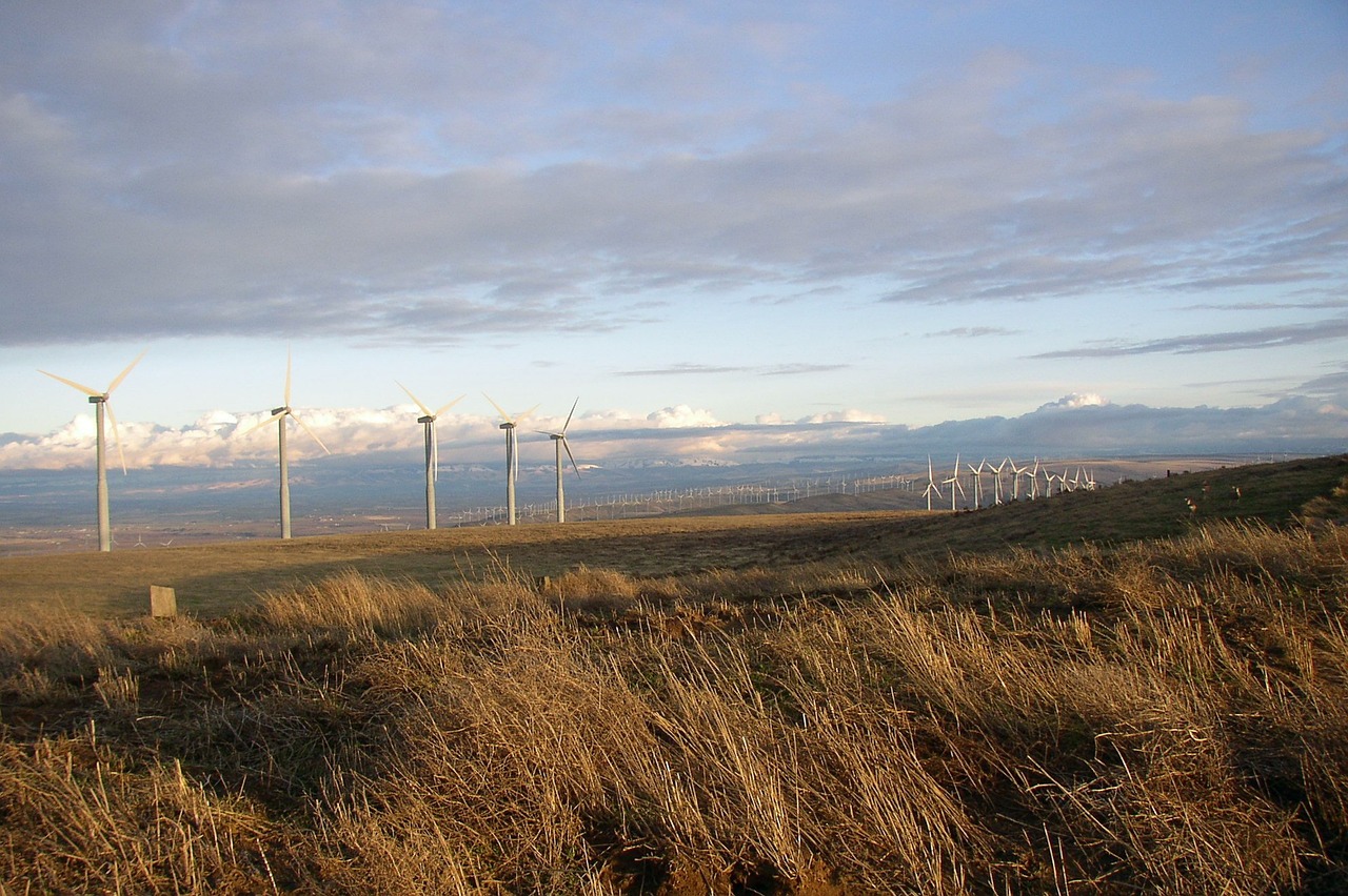 Produzione elettrica europea 2024: fv ed eolico hanno sbaragliato le fossili
