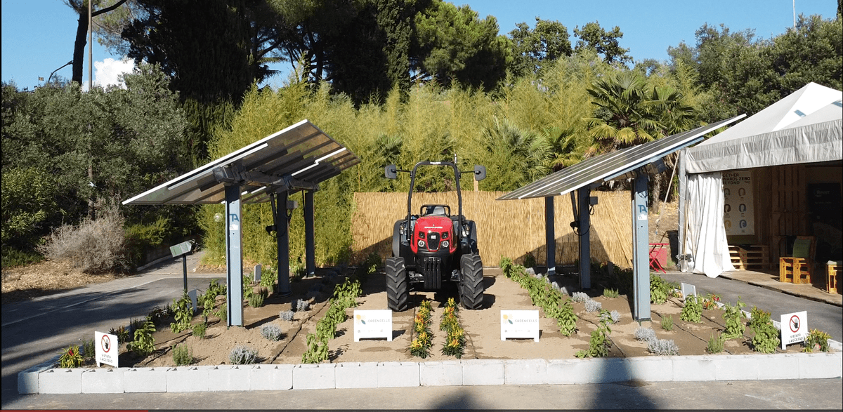 FOTO IMPIANTO DIMOSTRATITO AGRIVOLTAICO A FESTAMBIENTE (1)