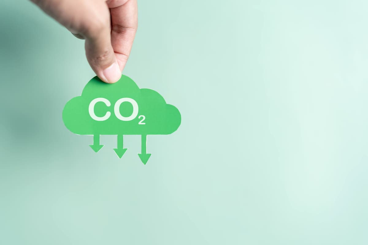 Rimozione della CO2: capacità mondiale a 2,3 GtCO2 nel 2050