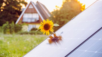 Rinnovabili • Bandi Agrivoltaico Innovativo: arrivate domande per oltre 1,7 GW