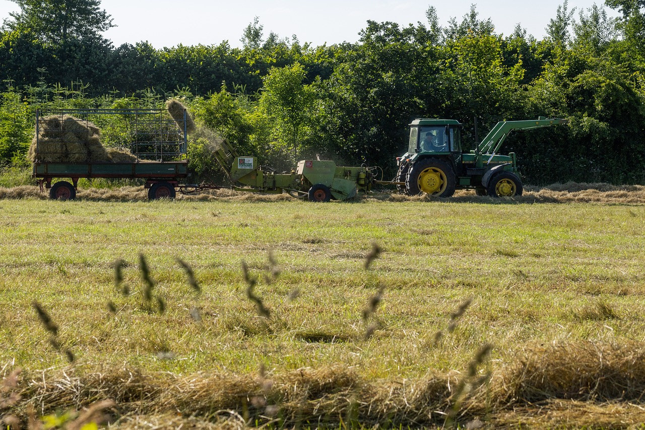 Ricerca e innovazione per la sostenibilità delle filiere agroalimentari