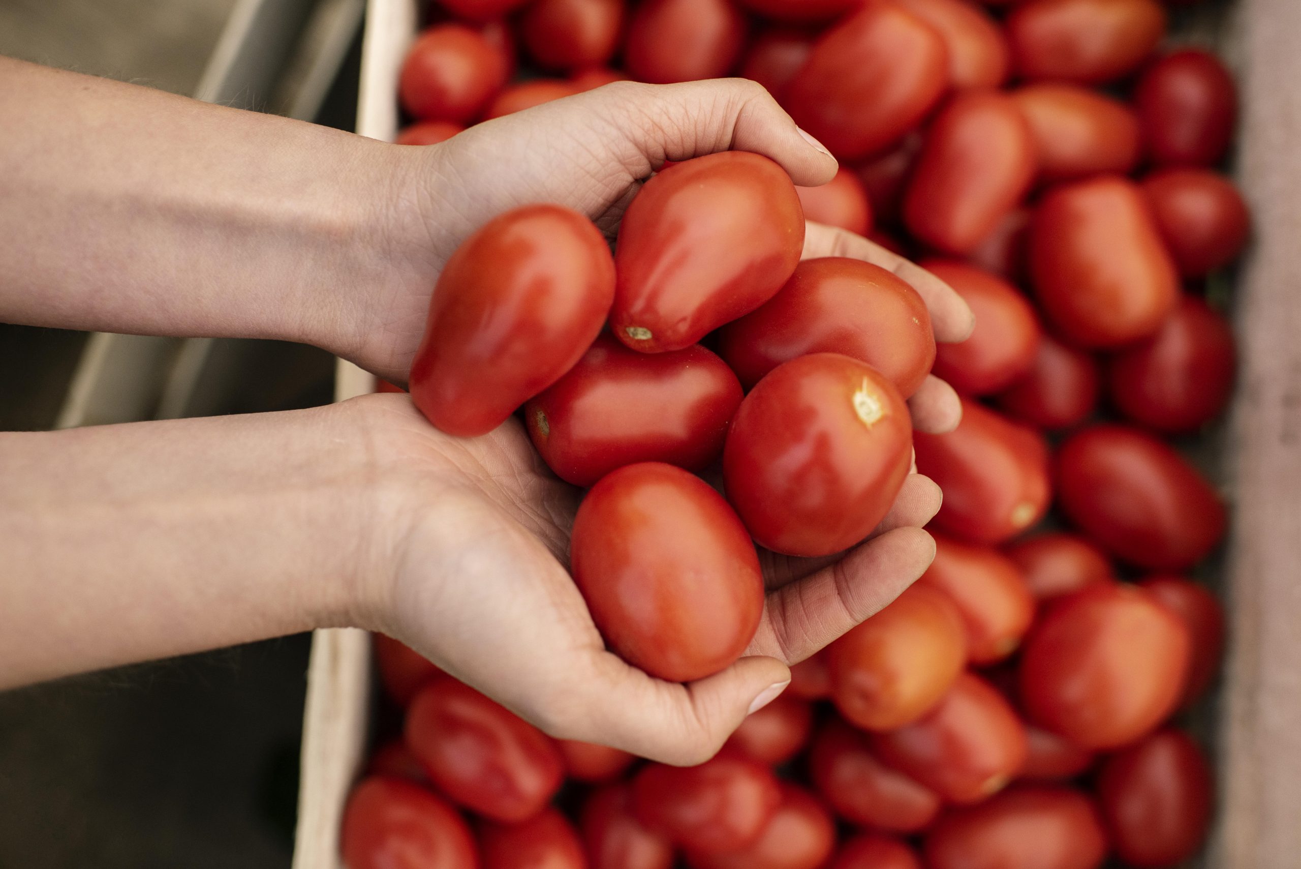 Come valorizzare gli scarti di lavorazione del pomodoro?