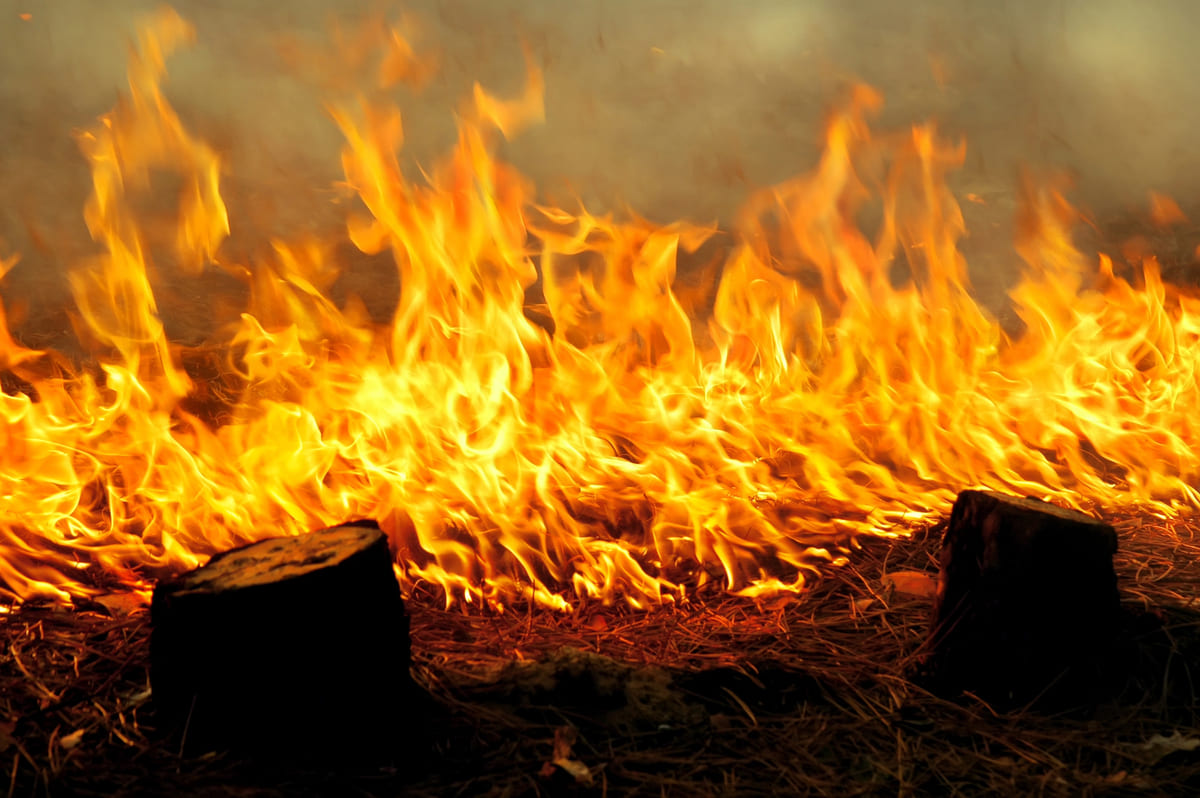 Incendi Amazzonia e Pantanal: record, mai così tanti da 20 anni