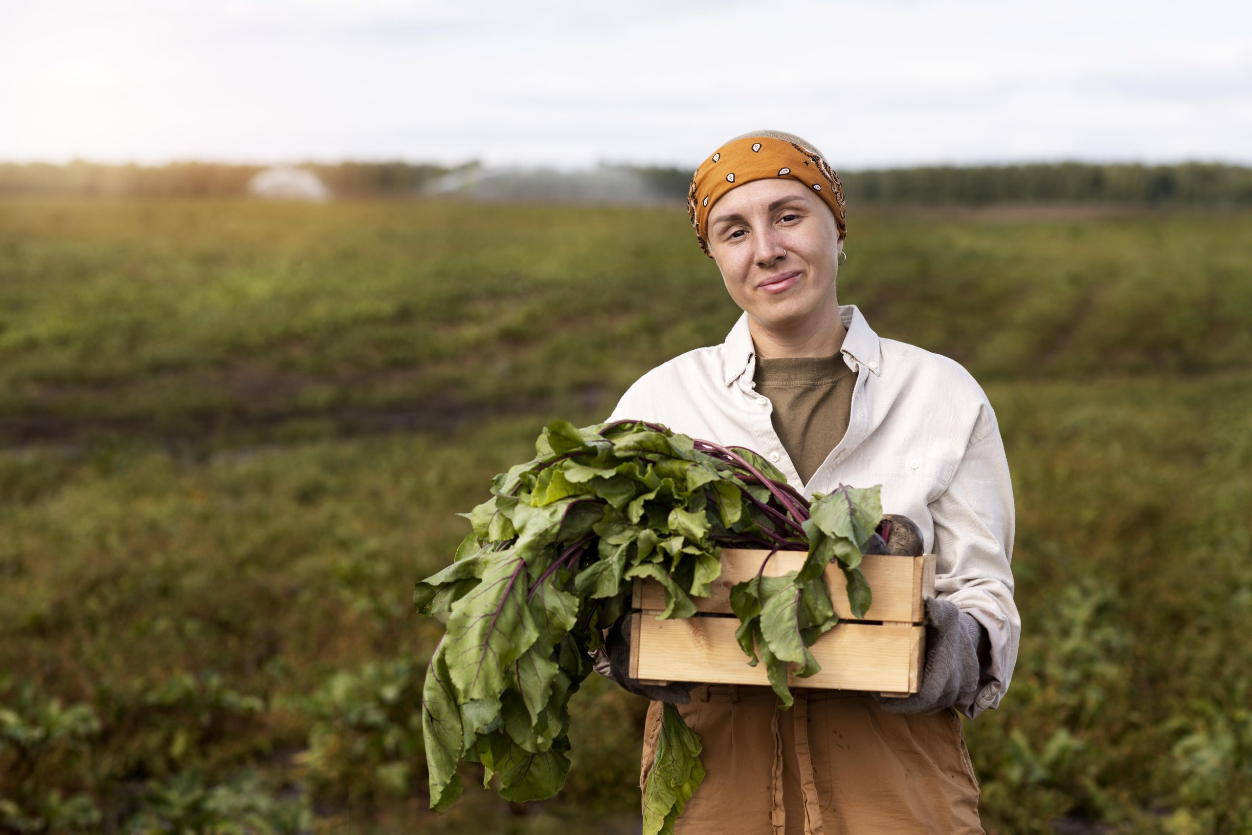 Bonus agricoltura “Più Impresa”, agevolazioni per giovani e donne