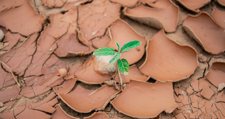 Rinnovabili • La siccità svuota gli invasi al Sud: fino a -45% di acqua