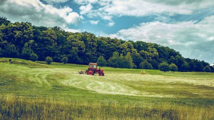 Rinnovabili • bioeconomia circolare