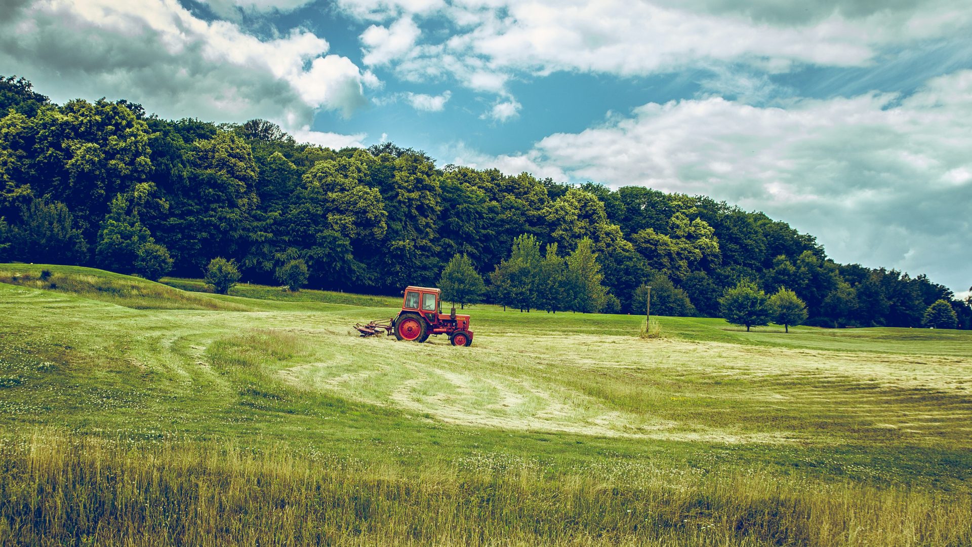 Rinnovabili • Agricoltura green per la salute degli ecosistemi