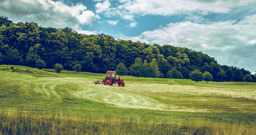 Rinnovabili • Agricoltura green per la salute degli ecosistemi