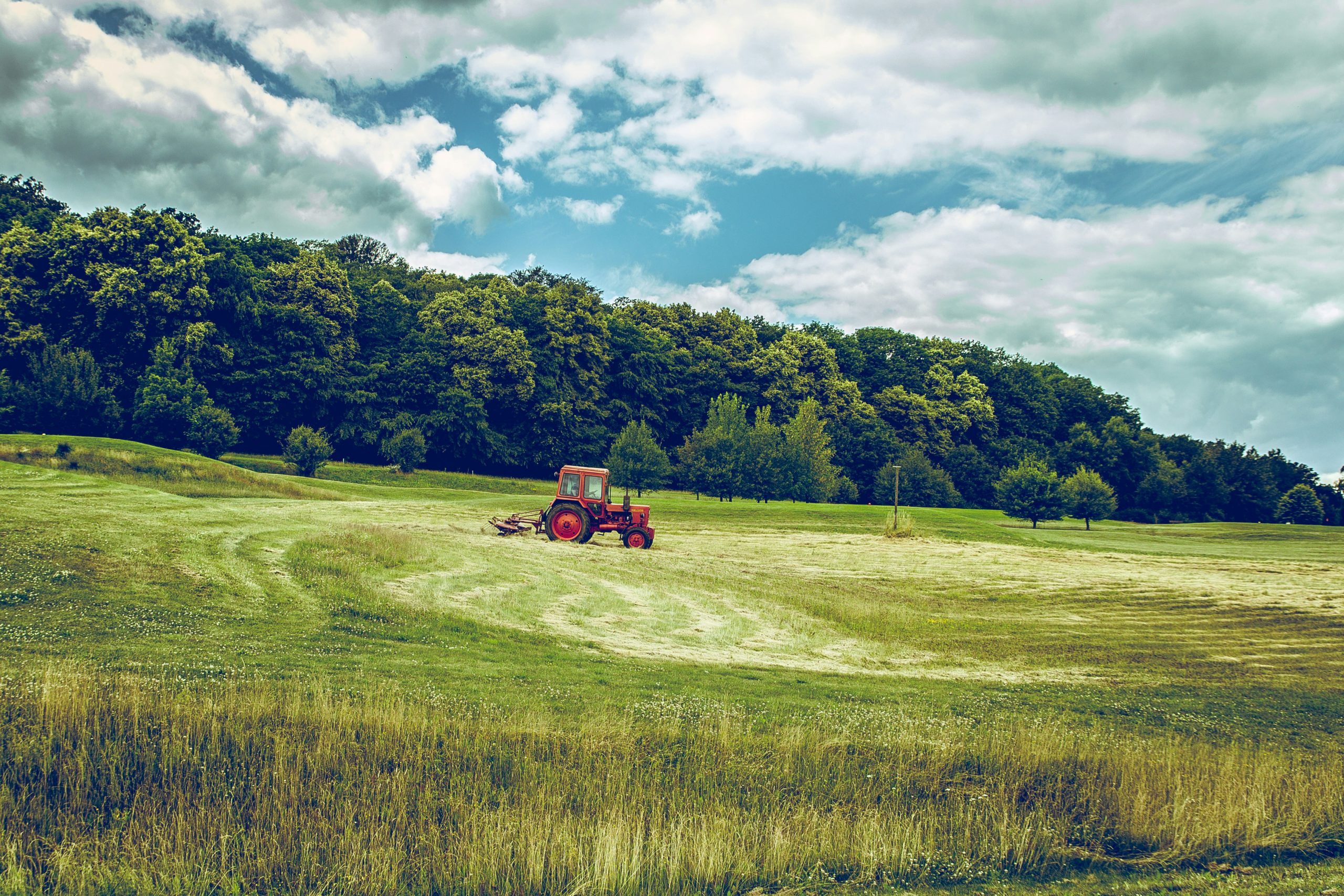 Rinnovabili • Agricoltura green per la salute degli ecosistemi