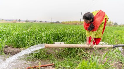 Rinnovabili • Stress idrico e agricoltura, la grande sfida dell’alimentazione globale