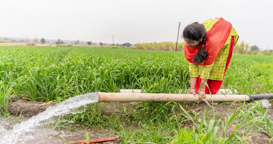 Rinnovabili • Stress idrico e agricoltura, la grande sfida dell’alimentazione globale