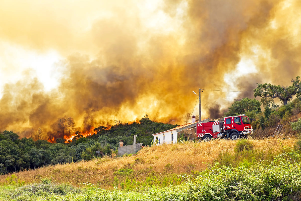 Incendi e cambiamento climatico: clima aumenta roghi del 15% in 20 anni