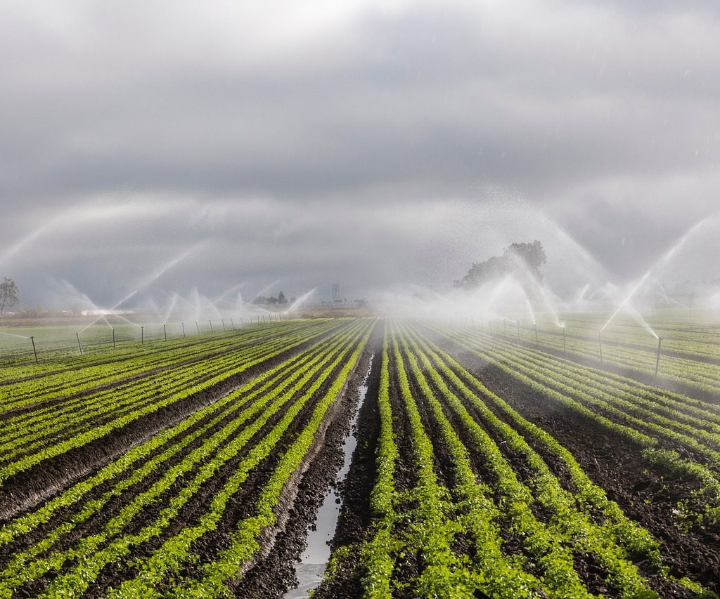 Forum Acqua, l’impronta idrica dell’agricoltura