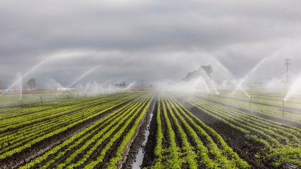 Rinnovabili • Forum Acqua, l’impronta idrica dell’agricoltura